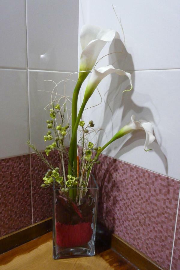 Apartamentos La Condesa Valmeo Luaran gambar